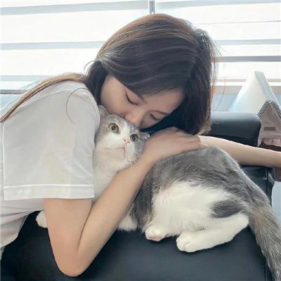 天使追杀令